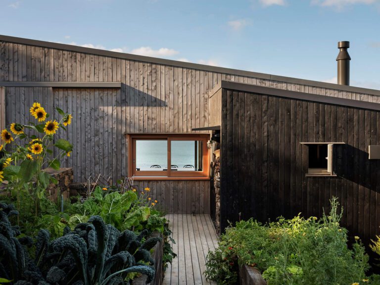 63100273d1aaaac0a9f2dcef__DSF3216lrg copy