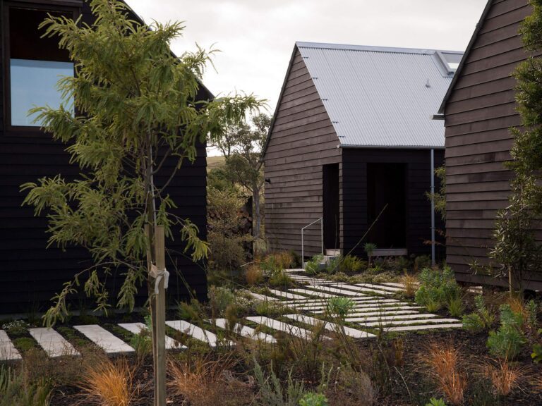 62ba727c276ee3b334cb9470_DST-PTW