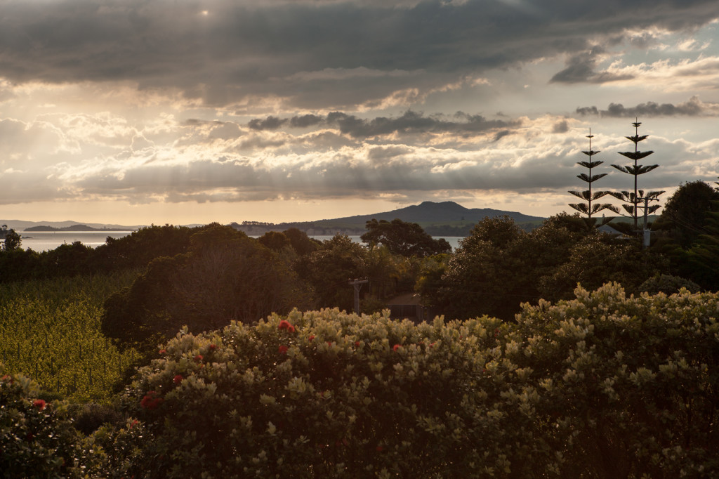 Andre Hodgskins Waiheke Island. Photograph by Simon Devitt.