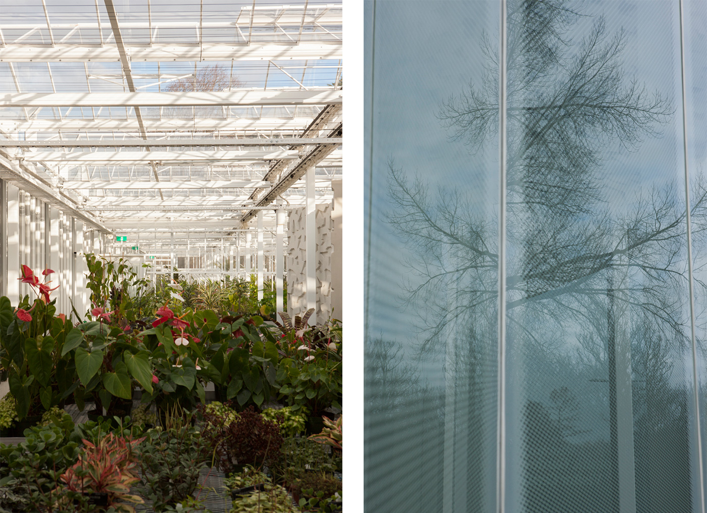Christchurch Botanic Gardens visitor centre. Photographs by Simon Devitt.