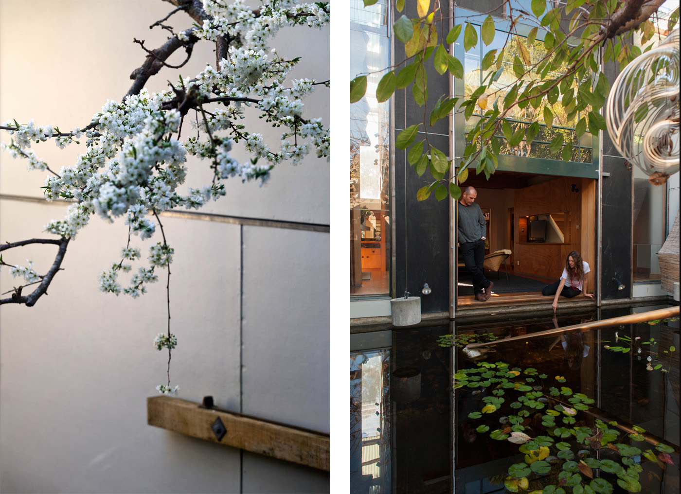 A plum tree (left) blossoms over the fish pond that opens off the of the living room of Lance and Nicola Herbst's Auckland home, in our new issue. Photographs by Simon Devitt.