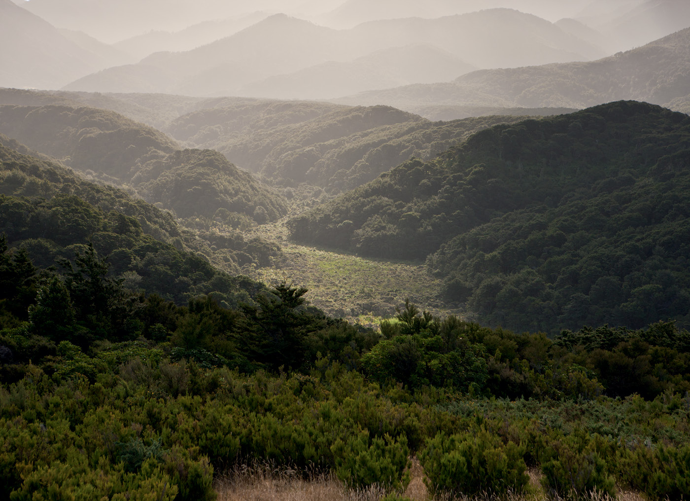 Ross Stevens – Wairarapa. Photograph by Simon Devitt.