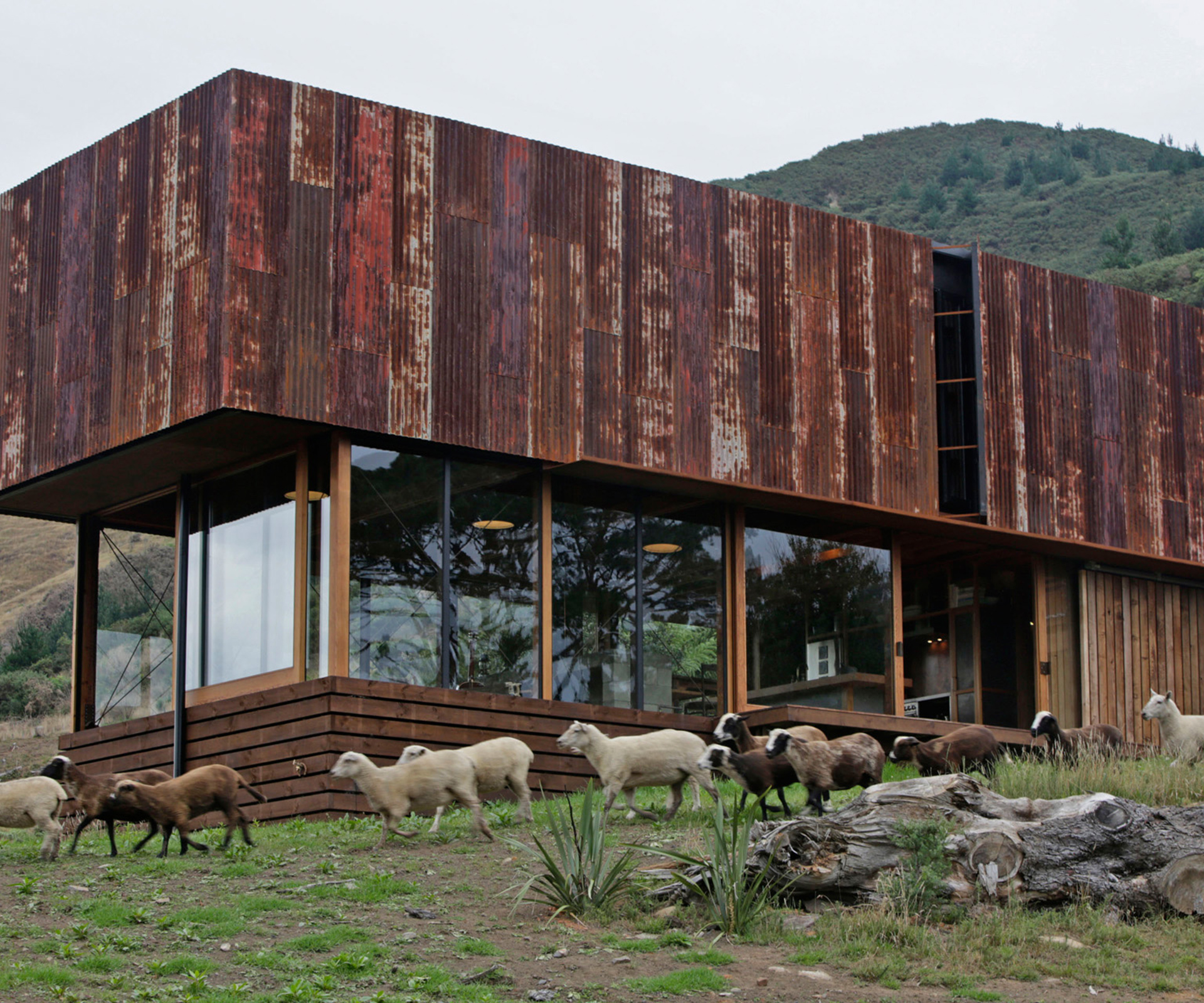A Coromandel House by Herbst Architects that uses recycled roofing iron on its exterior. Photograph by Patrick Reynolds.
