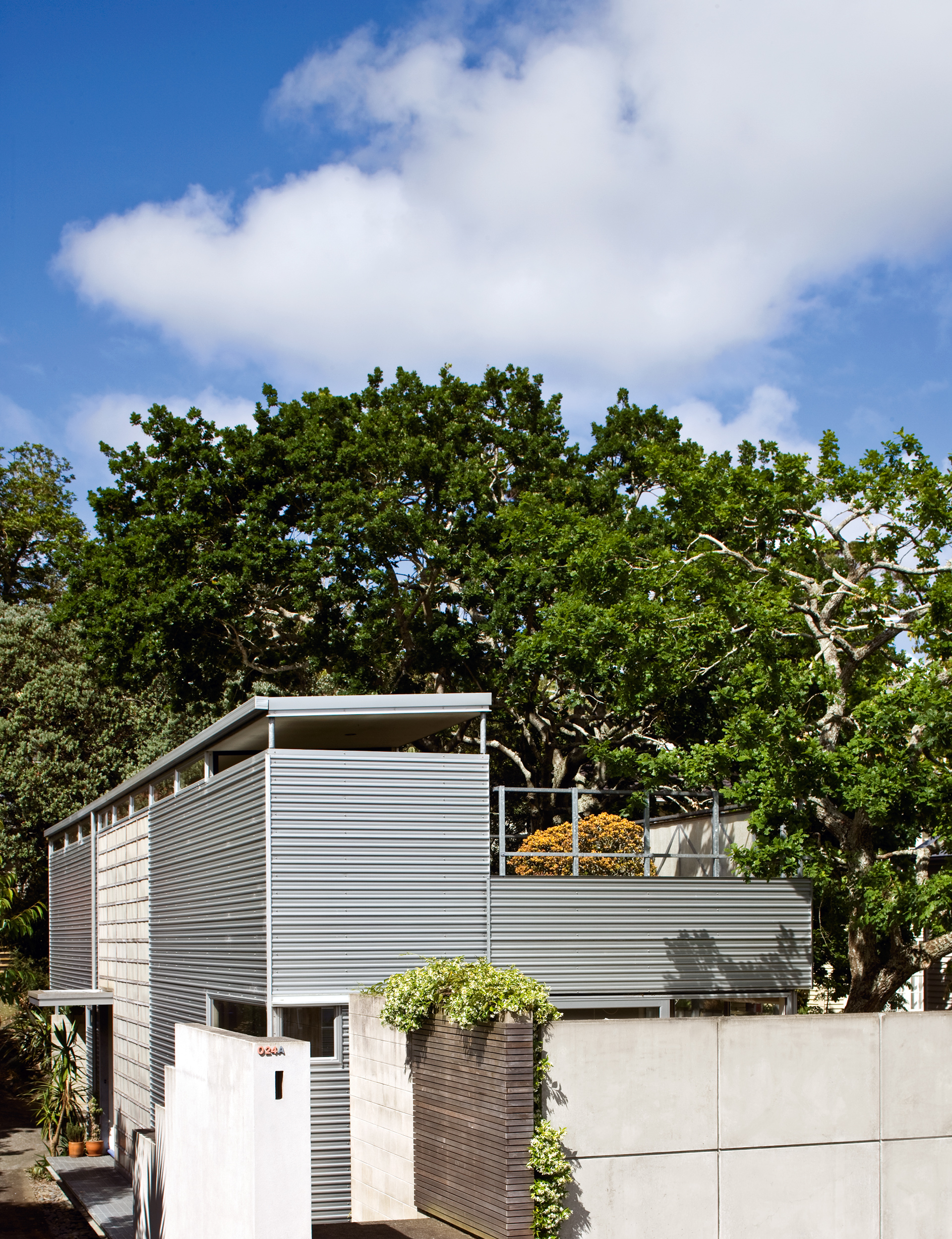 hnz0209_BAMBURY_6179