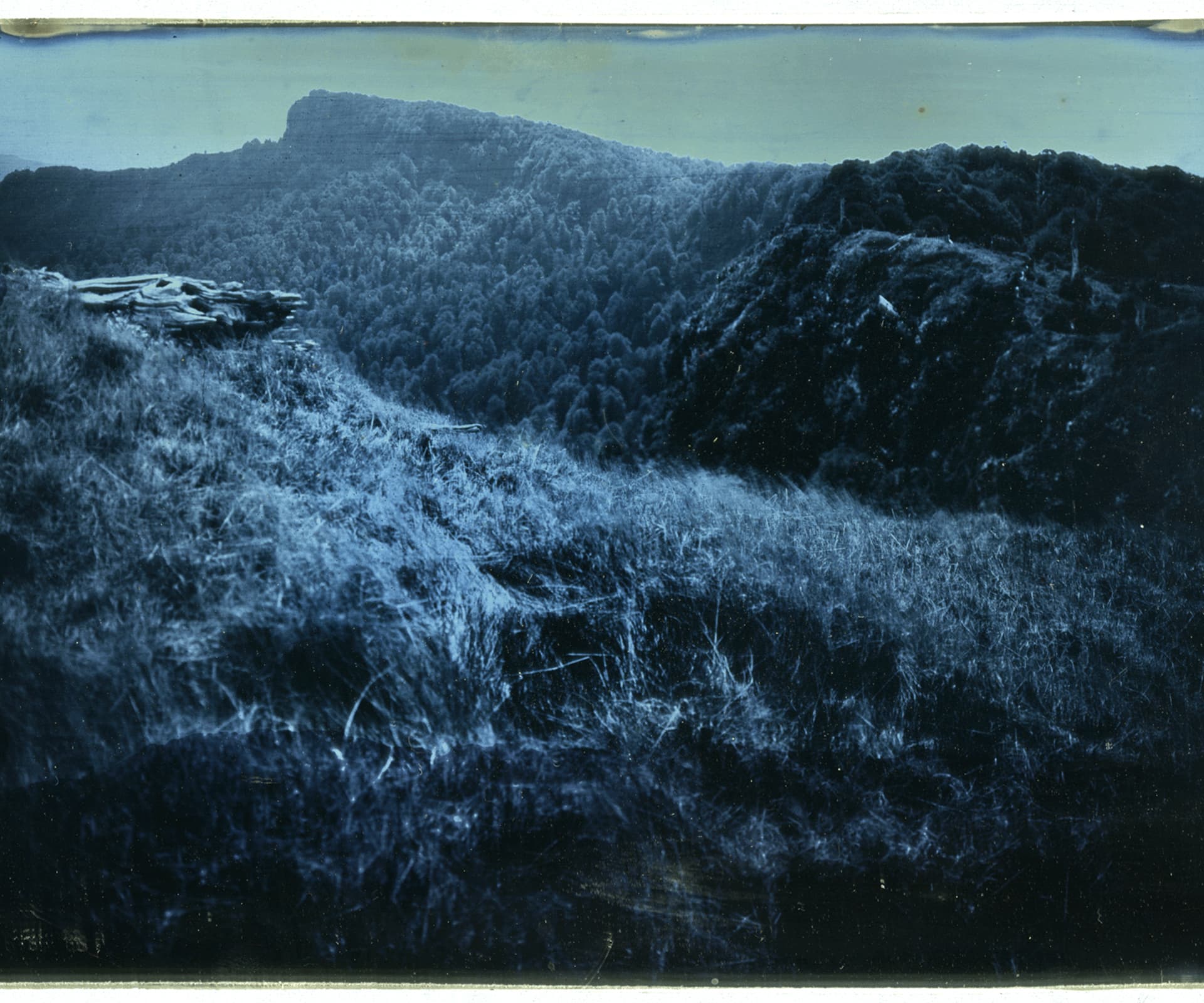 HE0816_Joyce Campbell_TeReinga, Landscape