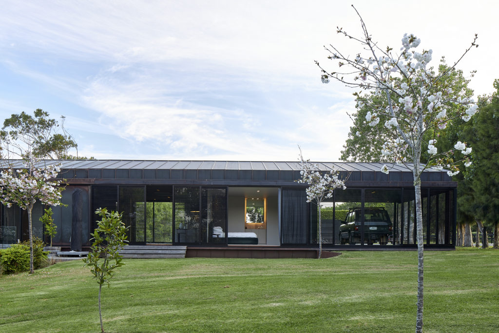 A view of the house and yard and its blossom trees