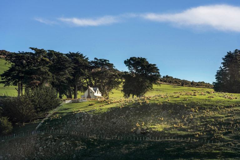 Annandale Shepherd CottageSG14554_edit-1400x935