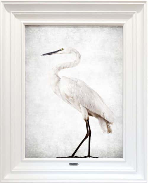 Jae Frew - Kōtuku No.1