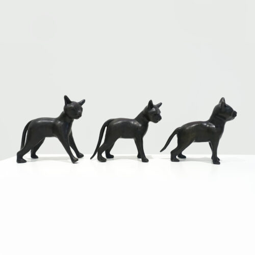 Melissa Young - Cats