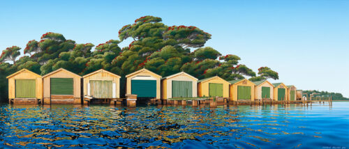 Michelle Bellamy - Orakei Reflections