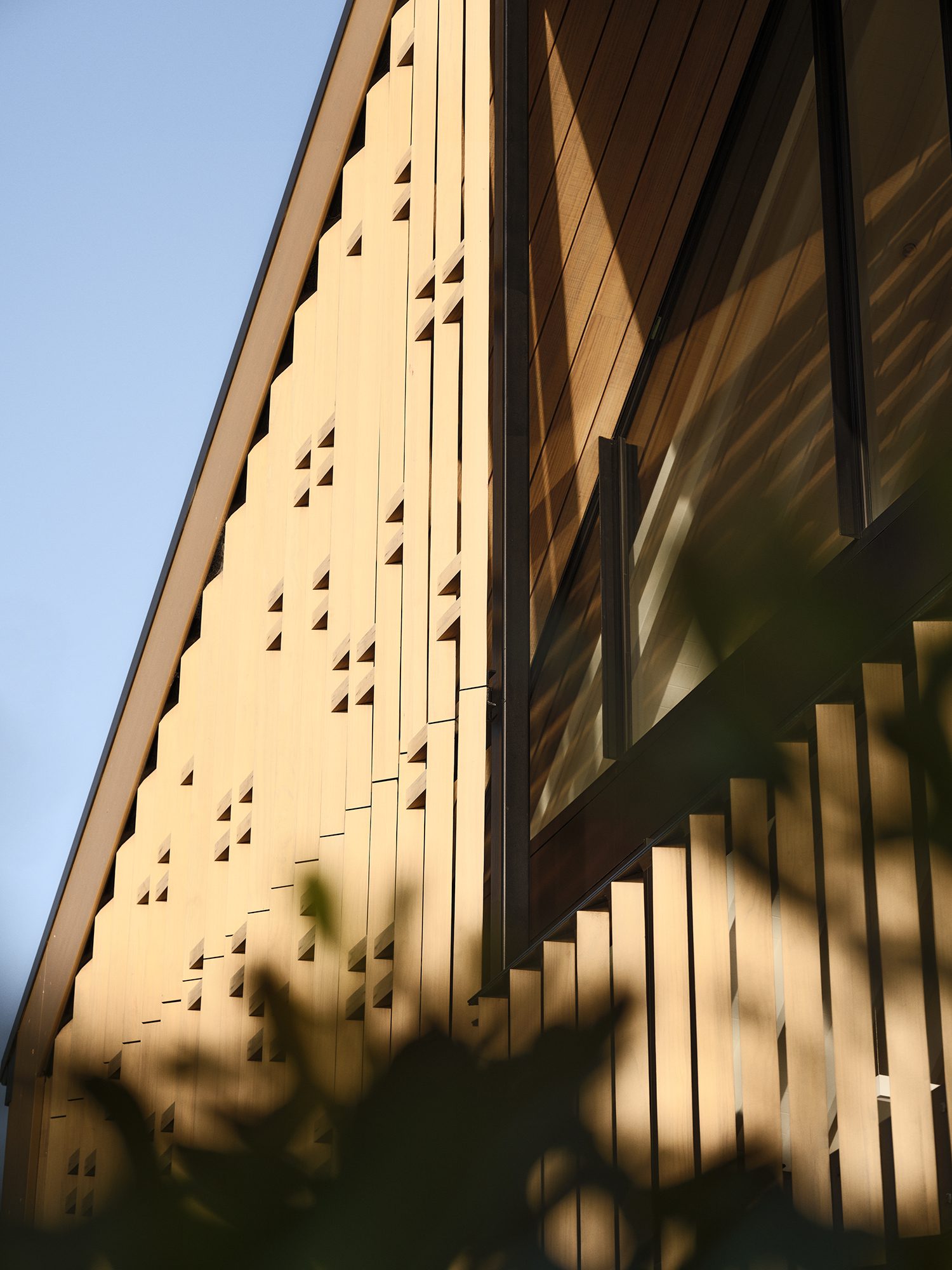 Timber Based The Role of Home-Grown Timber in Local Architecture